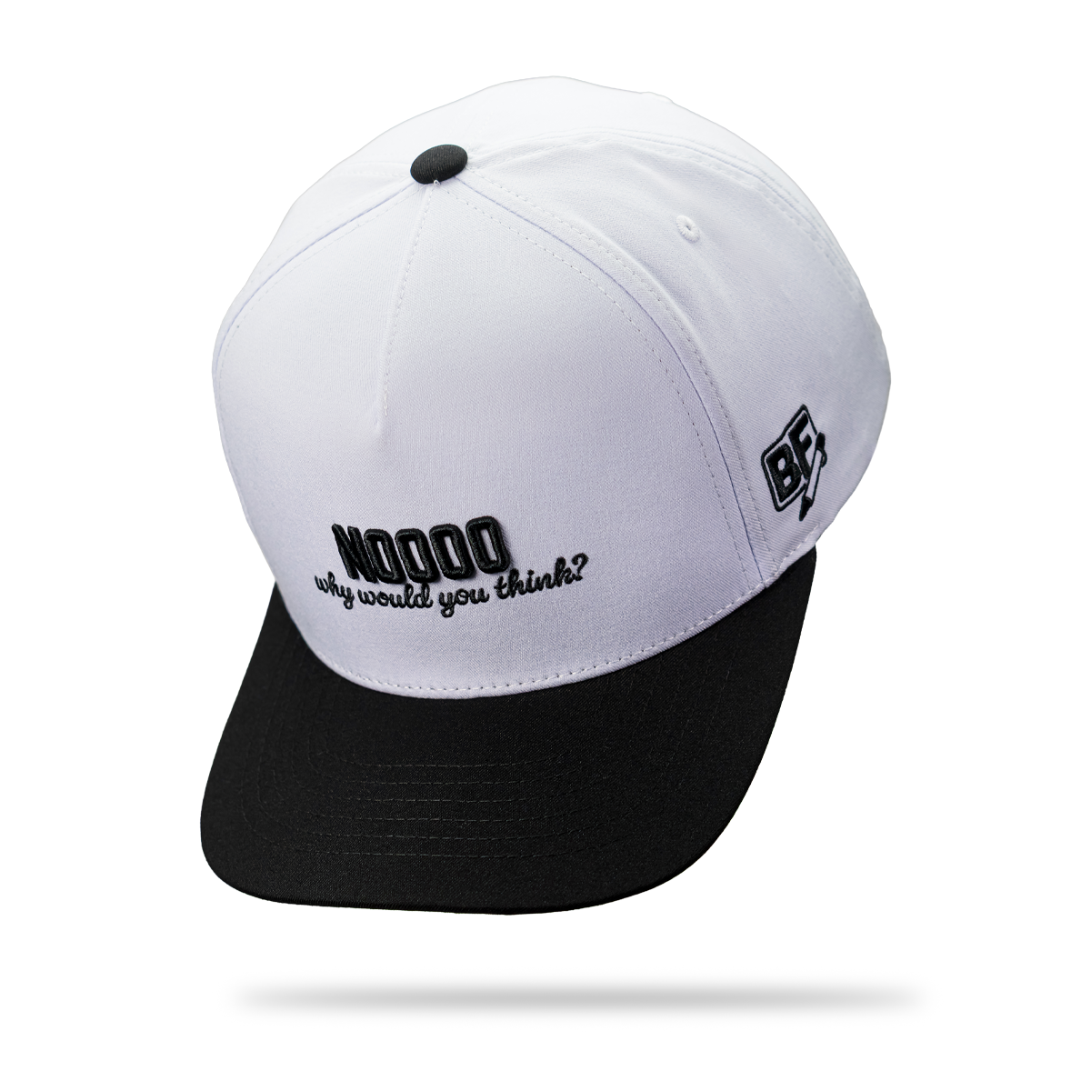 "Noooo Why Would You Think?" Hat