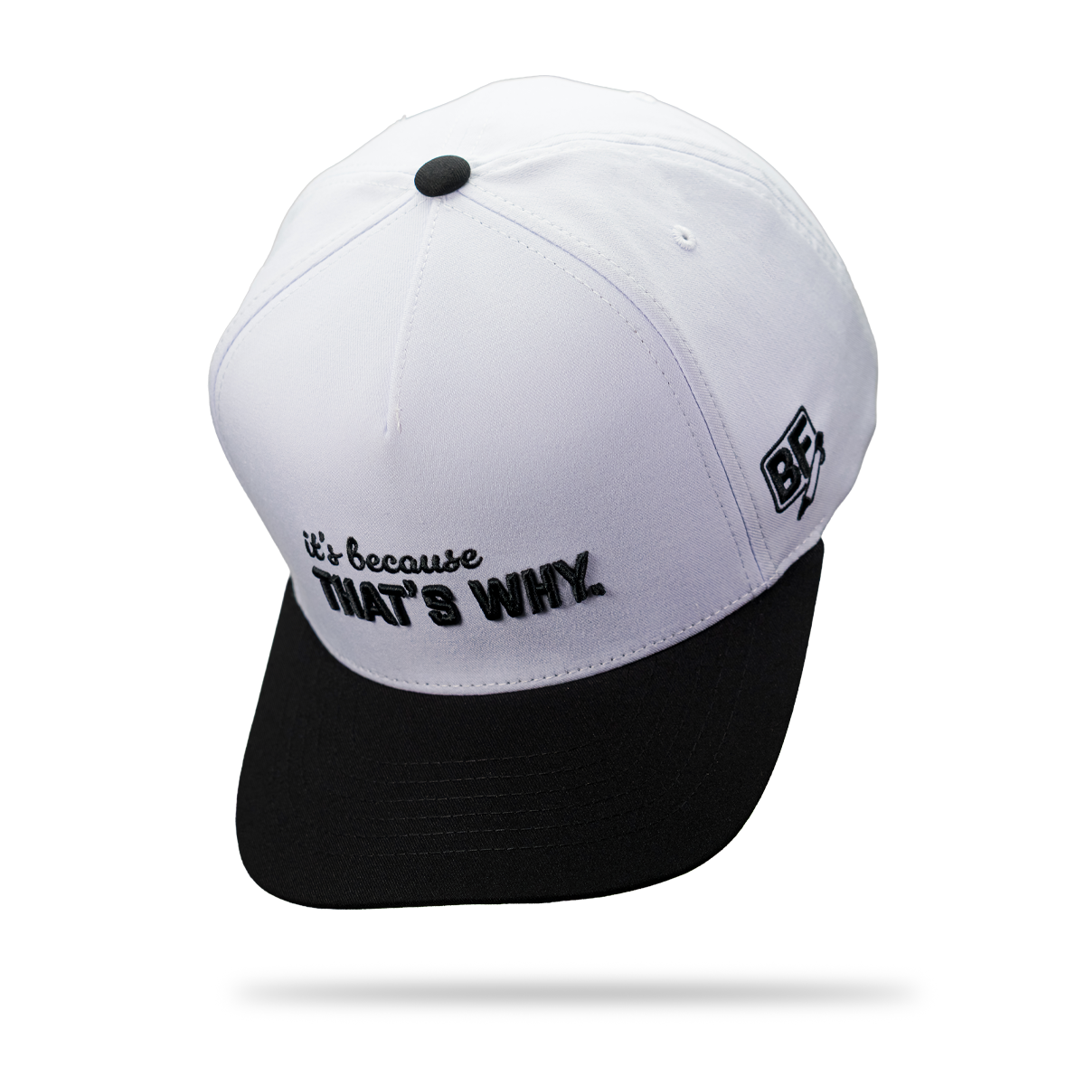 "It's Because That's Why." Hat