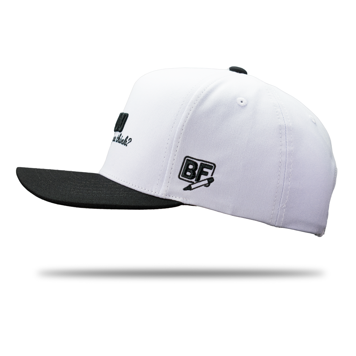 "Noooo Why Would You Think?" Hat