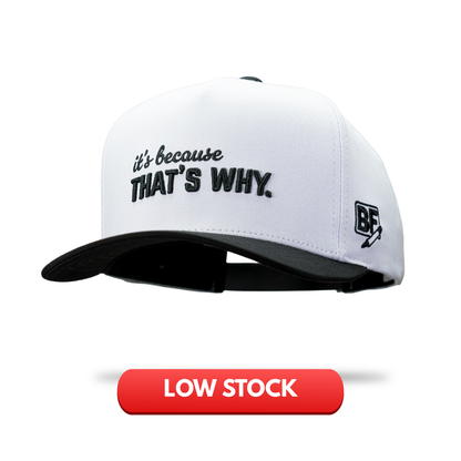 "It's Because That's Why." Hat PLUS 3 Stickers